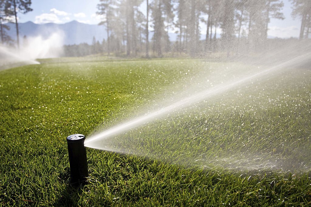 Wajib Kenali 5 Jenis Sprinkler Taman Bagi Para Pemula
