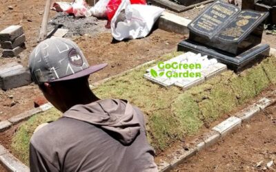 New Project! Pemasangan Rumput Makam oleh Jasa Taman Kulon Progo