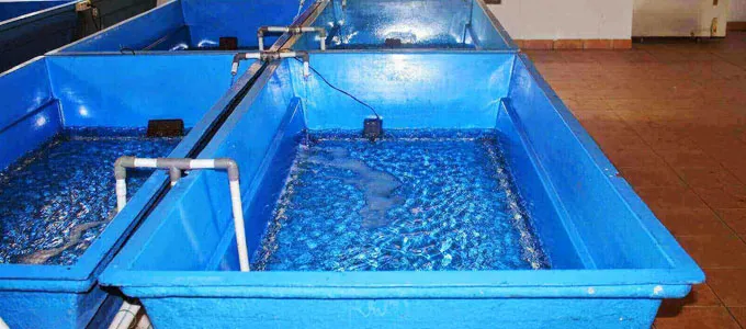 Kolam fiberglass aman untuk ikan. Sumber Hargaweb